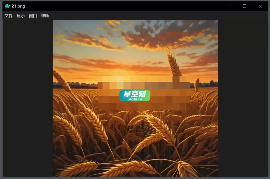 LeafView(图片查看器) v3.7.3 绿色版