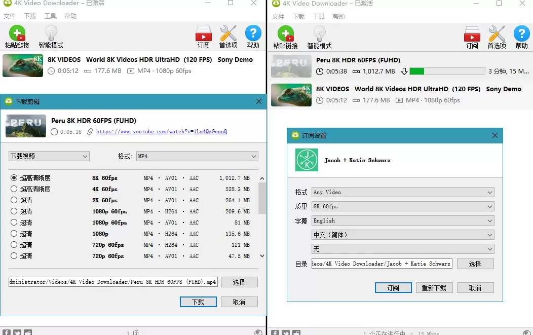 4K Video Downloader v5.18.6/ Plus v25.3.1.0220 中文绿色便携版