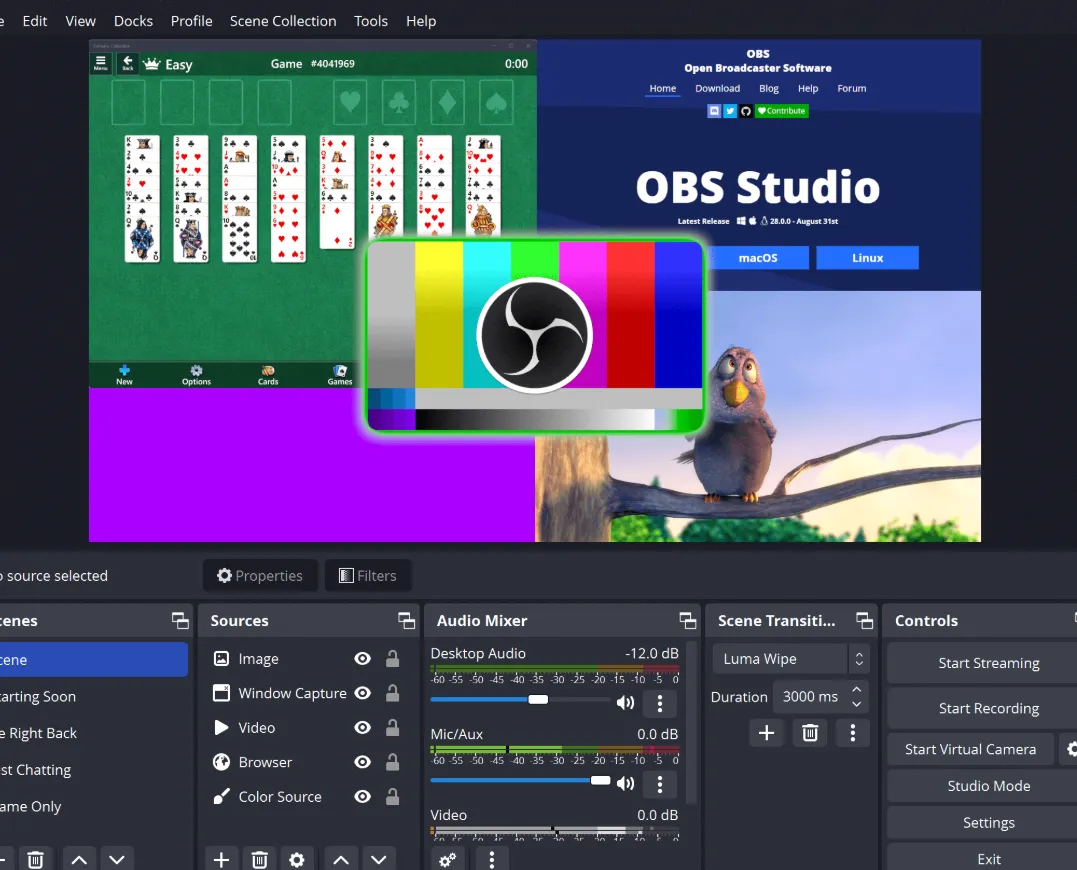 OBS Studio v32.0.2 直播必备神器「实时屏幕录制」中文绿色版-星空知