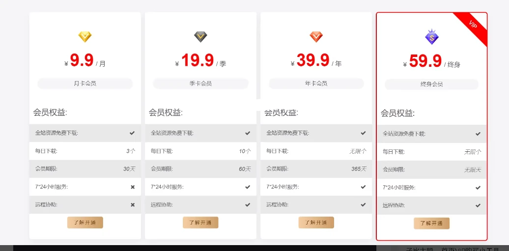 子比主题 – 首页VIP购买小工具