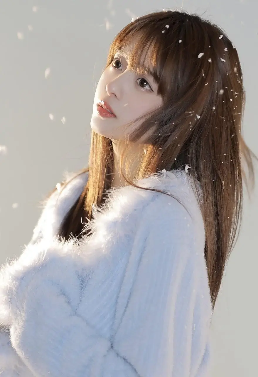 20241026132422747-2024101703210873